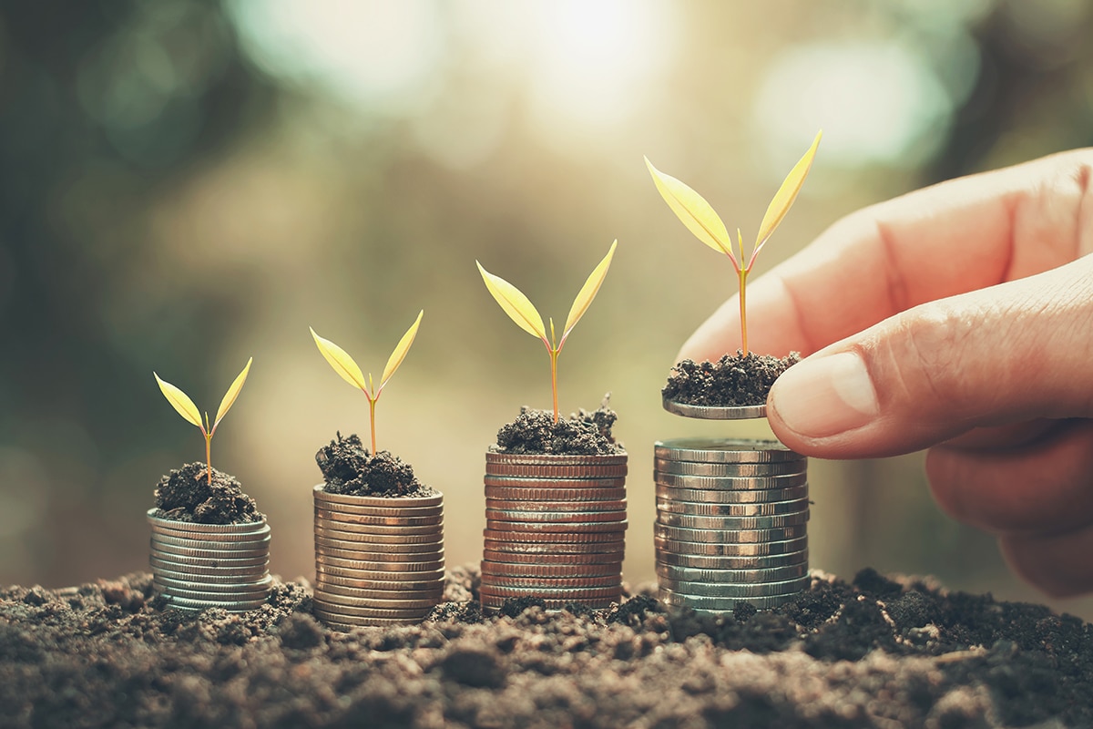 investment growth